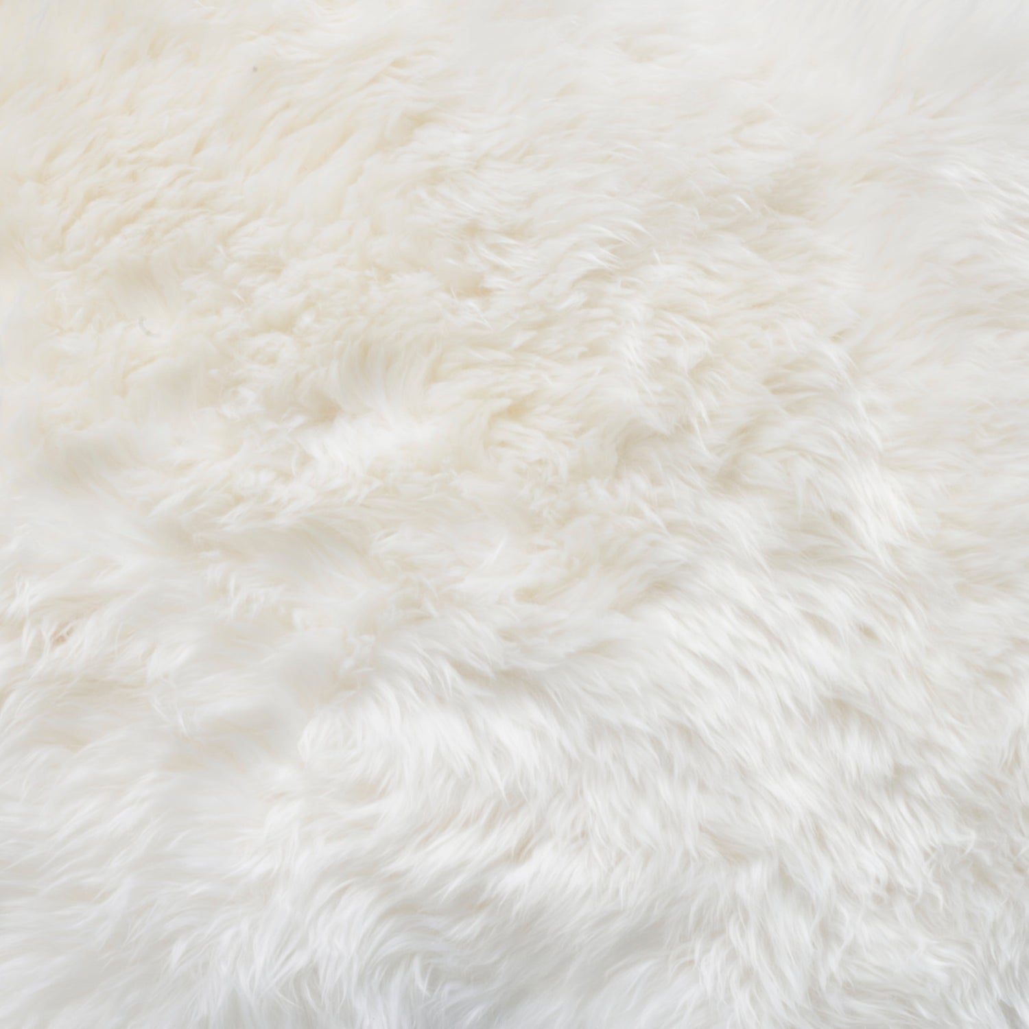 Ivory Sheepskins
