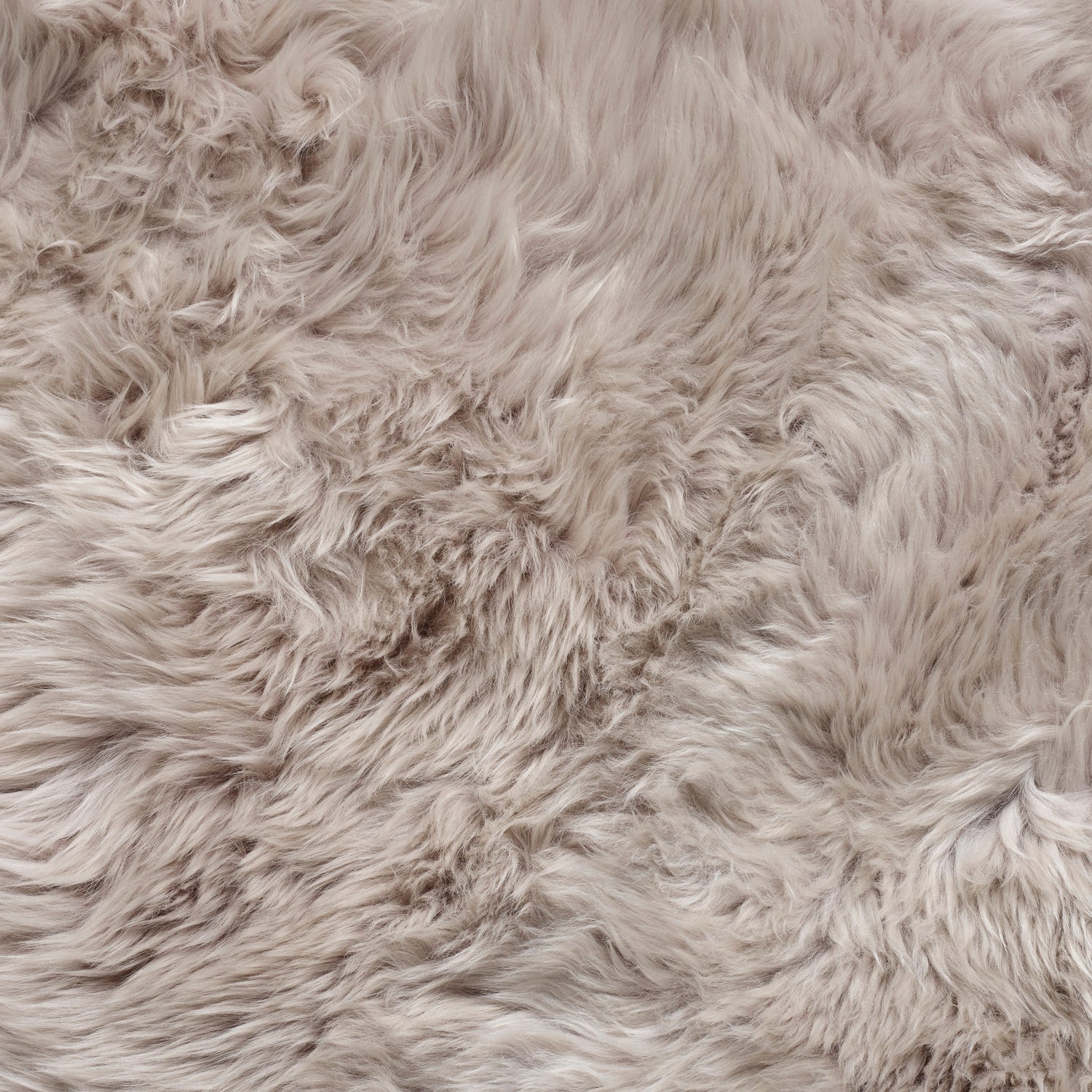Light Grey Sheepskins