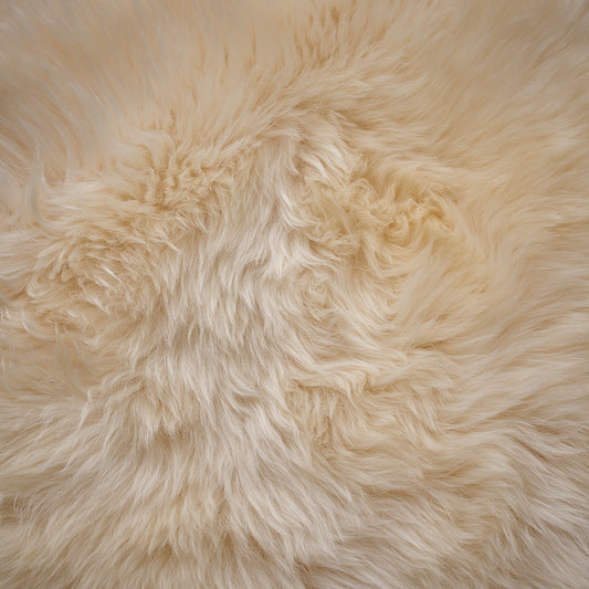 Champers Luxury Single Sheepskin Rug