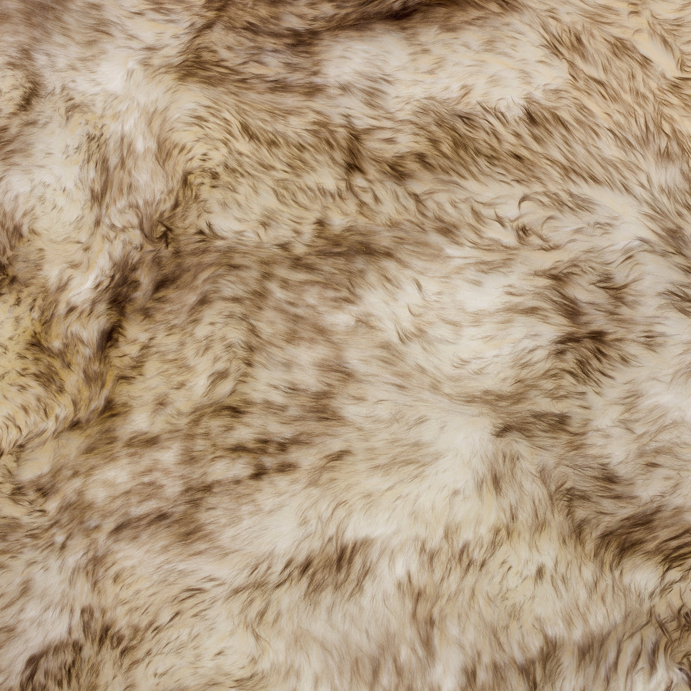 Wolf Tip