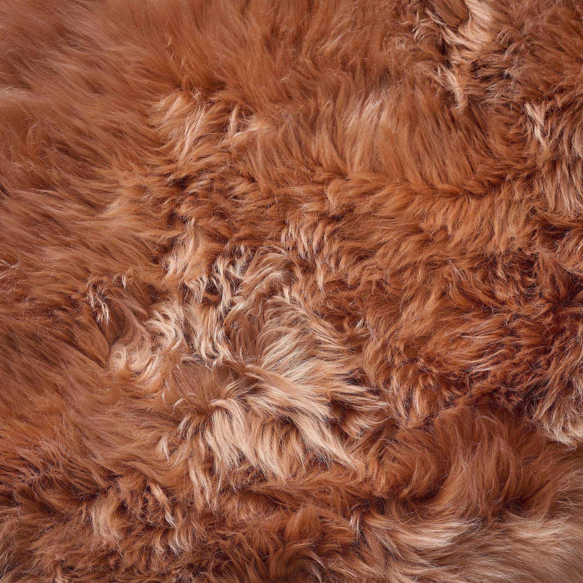 Honey Sheepskin Rugs UK | Warm Natural Tones Free Delivery